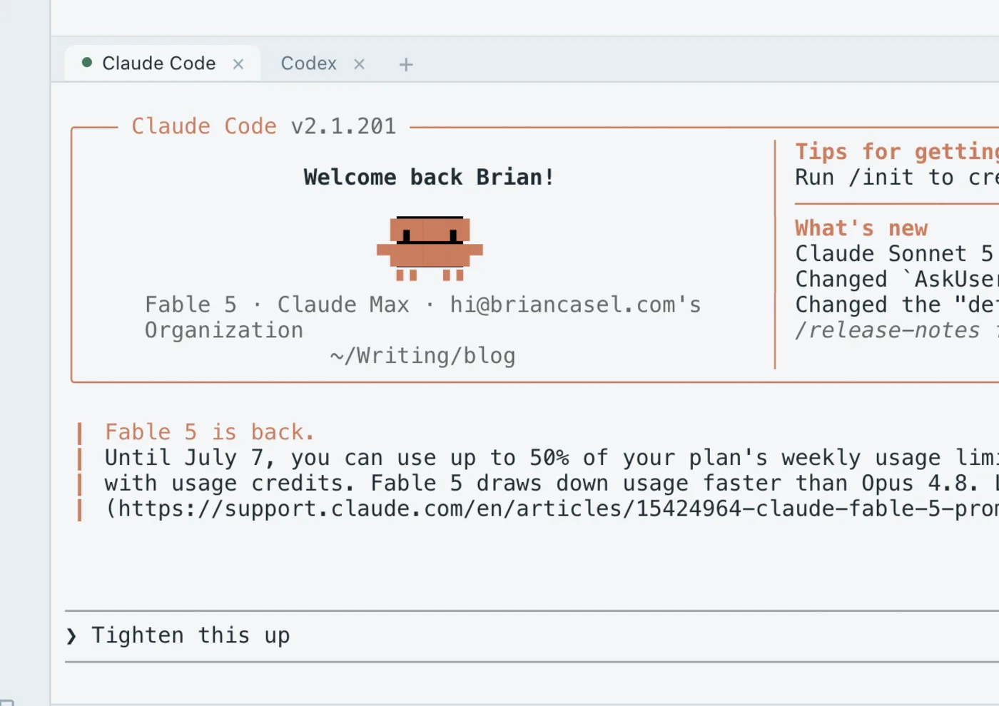 Claude Code and Codex running in tabs inside Flywrite's built-in terminal